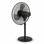Ordinary Fans